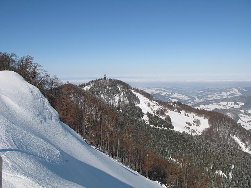 Muckenkogel